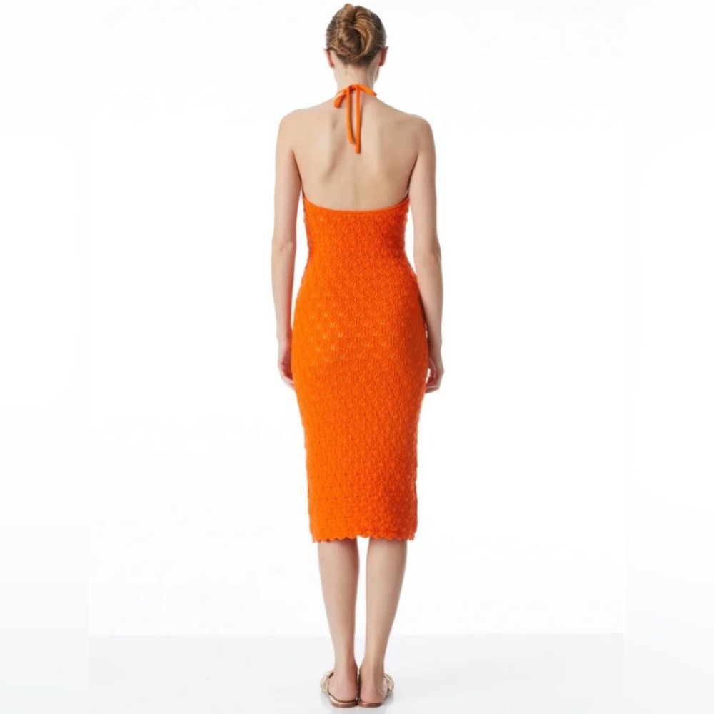 Alice + Olivia Jone Halter Neck Fitted Midi Dress in Sienna Size S - Picture 8 of 8